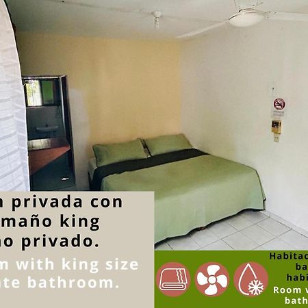 Hostal Pakal King 帕伦克 外观 照片