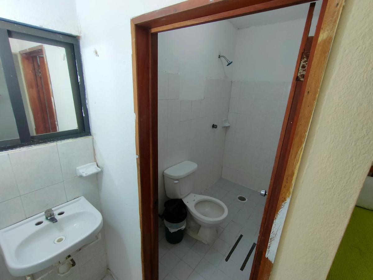 Hostal Pakal King 帕伦克 外观 照片