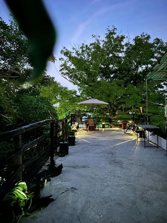 Hostal Pakal King 帕伦克 外观 照片