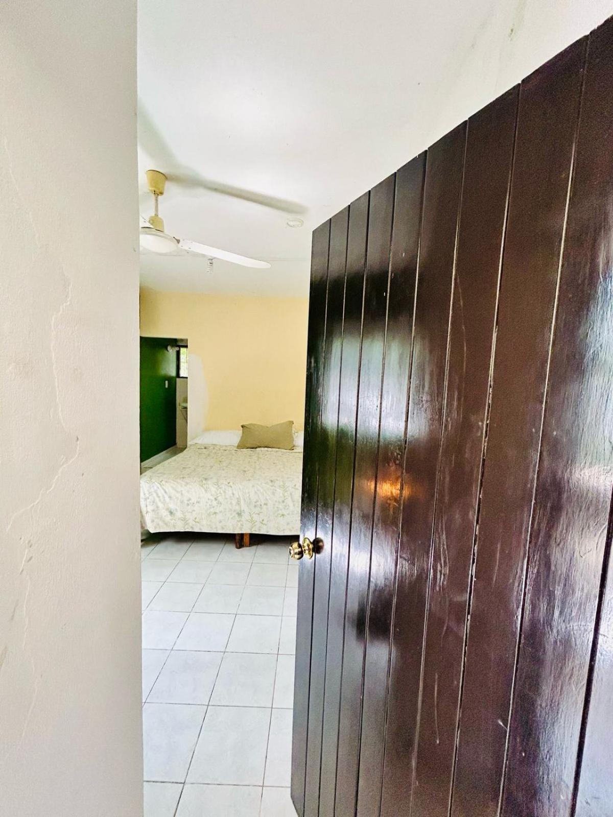 Hostal Pakal King 帕伦克 外观 照片